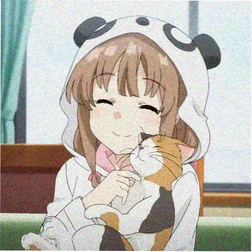 用户山里红的头像